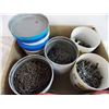 Image 2 : box of cigarette containers filled with nails