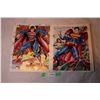 Image 4 : Superman Better Than Ever Limited Edition Art Portfolio