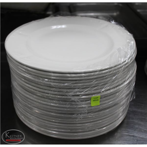 LOT OF 25 12" PLATES