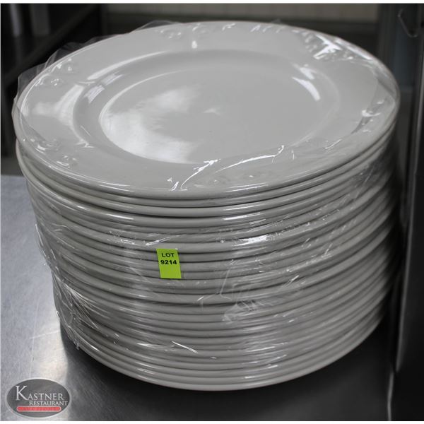 LOT OF 25 12" PLATES