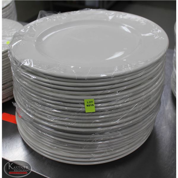 LOT OF 25 12" PLATES
