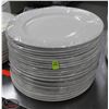 Image 1 : LOT OF 25 12" PLATES
