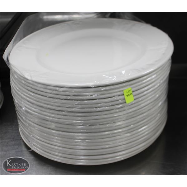 LOT OF 23 12" PLATES