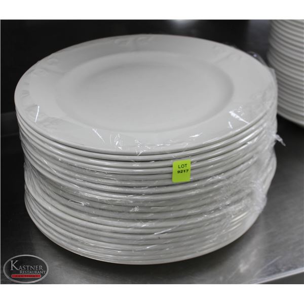LOT OF 20 12" PLATES