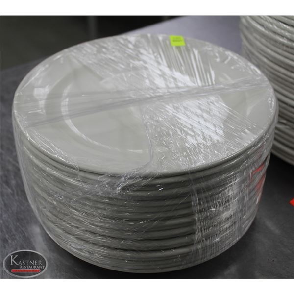 LOT OF 20 10.5" PLATES