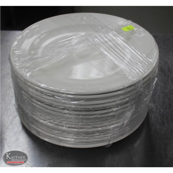 LOT OF 29 10.5" PLATES
