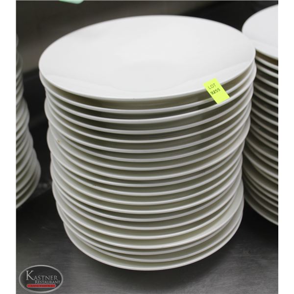 LOT OF 20 10" PLATES
