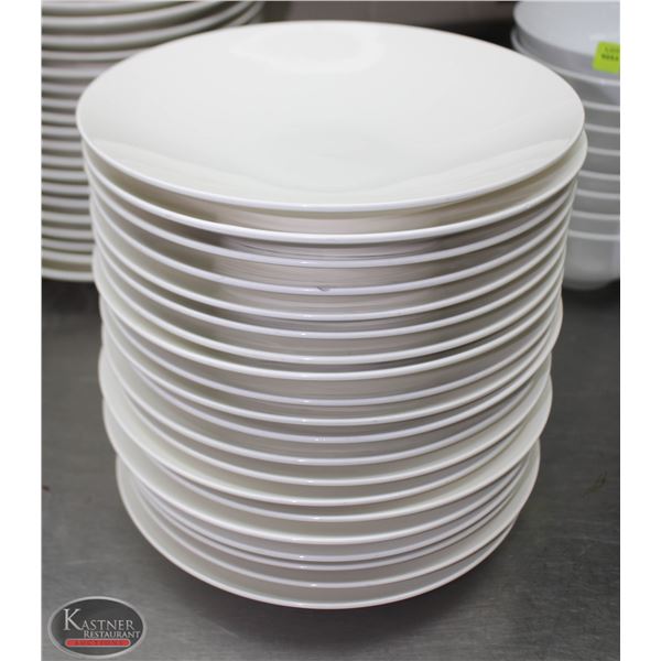 LOT OF 20 10" PLATES