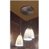 Image 3 : LOT OF 3 HANGING CLUSTER LIGHT FIXTURE