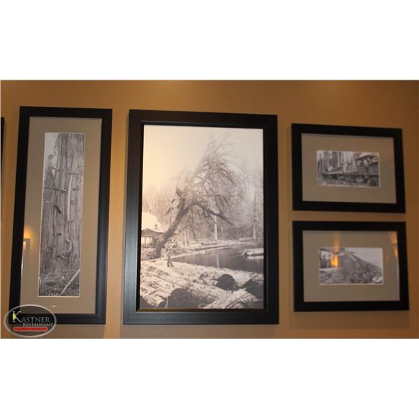 LOT OF 4 FRAMED AND MATTED PICTURES