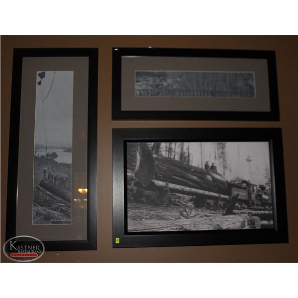 LOT OF 3 FRAMED AND MATTED PICTURES /W 1 CANVAS