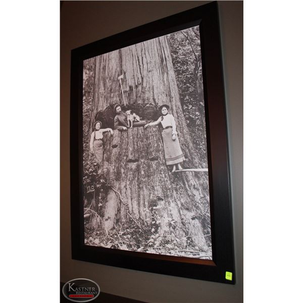 FRAMED CANVAS PRINT 30"X42