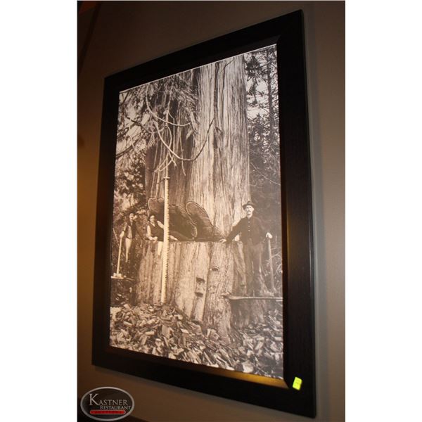 FRAMED CANVAS PRINT 30"X42