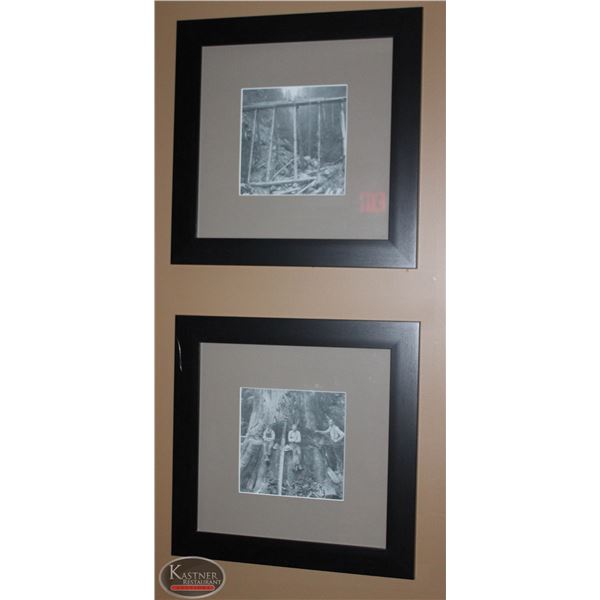 LOT OF 2 FRAMED AND MATTED PICTURES