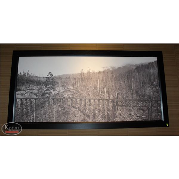 LARGE FRAMED CANVAS PRINT 72"X36"