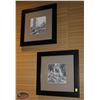 Image 1 : LOT OF 2 FRAMED AND MATTED PICTURES 18"X18"
