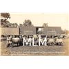 Image 1 : 1st Prize Sheep Oregon State Fair 1913 Macleay, Oregon Photo Postcard