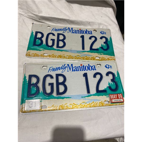Manitobia license plates