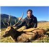Image 2 : Ireland 2 Hunters 2 Stags (regardless of the size) 5 Nights B&B/Dinner 4 Days hunting