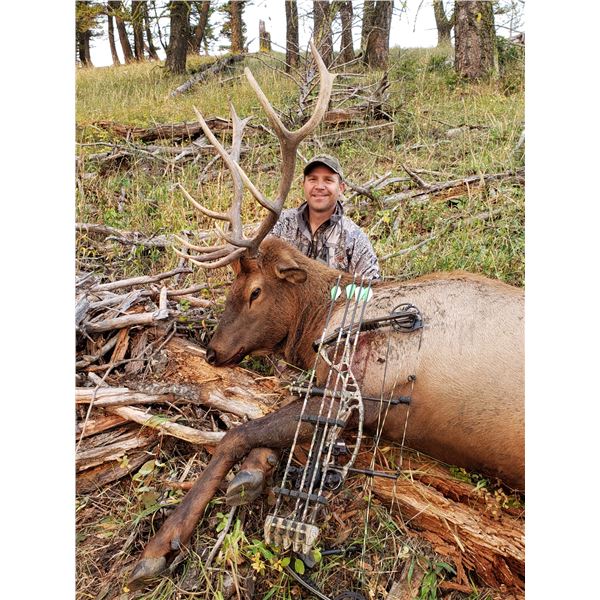 Montana 5 DAY ARCHERY ELK HUNT with Lone Wolf Guide Service