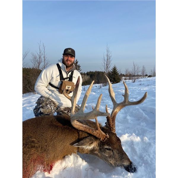 Wisconsin whitetail buck up to 300",Chasin Dream Whitetails has donated one whitetail buck scoring