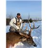 Image 1 : Wisconsin whitetail buck up to 300",Chasin Dream Whitetails has donated one whitetail buck scoring