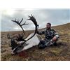 Image 2 : Alaska Reindeer Hunt with Council Alaska Safaris
