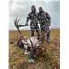 Image 3 : Alaska Reindeer Hunt with Council Alaska Safaris