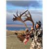 Image 4 : Alaska Reindeer Hunt with Council Alaska Safaris