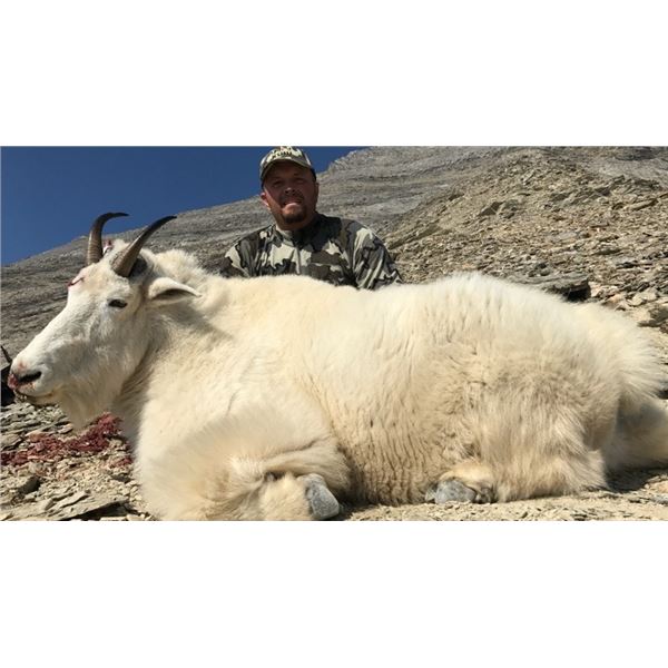 British Columbia All Inclusive Mountain Goat and Elk Hunt Total Outdoor Adventures
