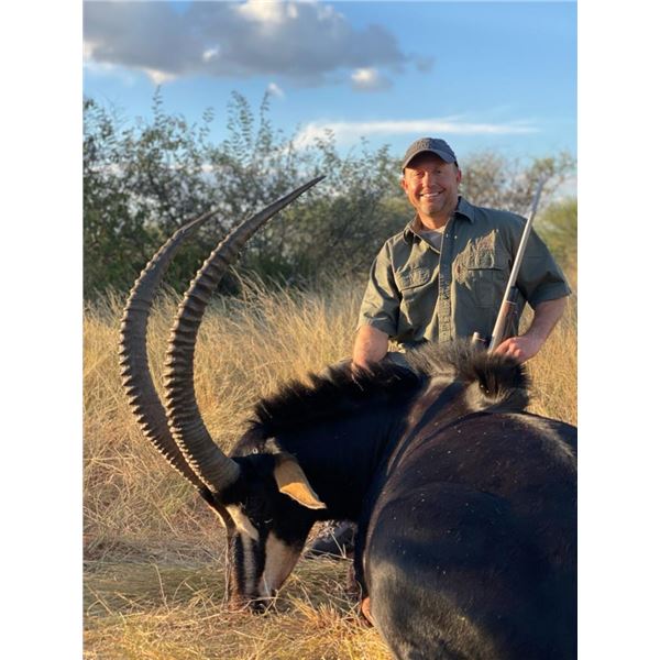 South Africa Sable Hunt with Vos and Co
