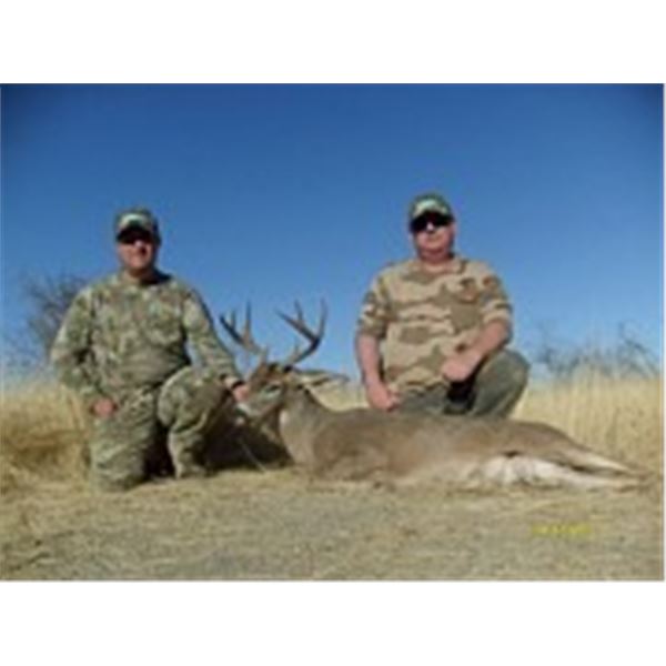 Coues deer hunt 2 hunters in Sonora Mexico