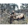 Image 2 : Cow Elk Hunt with Montana Outfitters