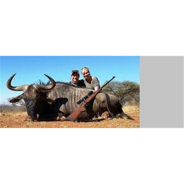 Plains Game Hunt for 4 Hunters 7 Nights