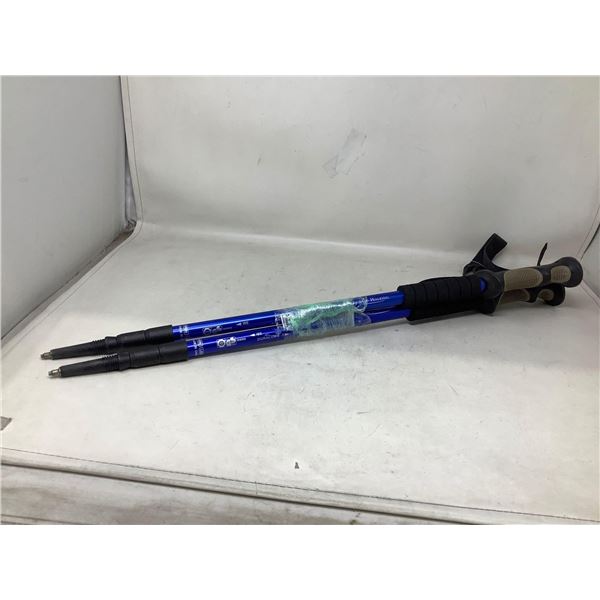 Set of Blue Hiking Poles