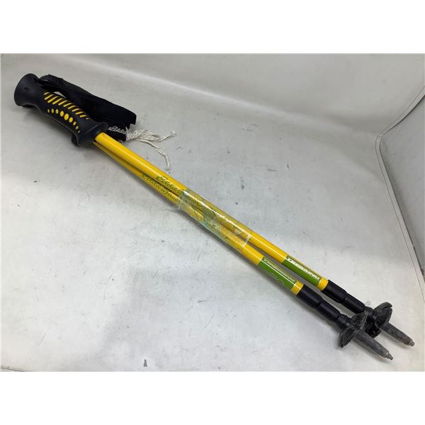 Set of Trekkino Hiking Poles