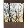 Image 1 : FRAMED ARTWORK from show home - Fall Branches  23 x 24 inches