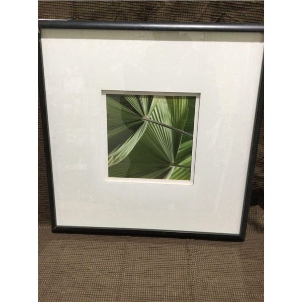 FRAMED ARTWORK from show home - green leaf 21 x 21 inches