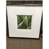 Image 1 : FRAMED ARTWORK from show home - green leaf 21 x 21 inches