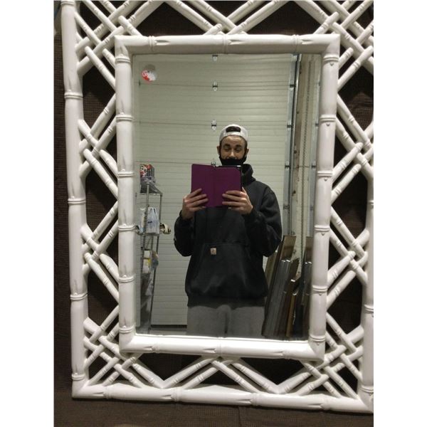 FRAMED ARTWORK from show home -Bamboo Mirror 30 x 40 inches