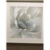 Image 1 : FRAMED ARTWORK from show home -White lily  34 x 34 inches