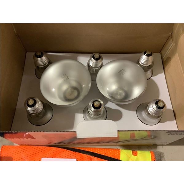 Frosted Transcendent 65W Bulbs