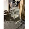 Image 1 : Metal Folding Step Ladder