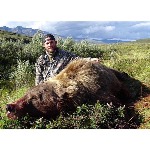 10 Day - Alaskan Grizzly, Wolf, Wolverine Combo Hunt for 1 Hunter