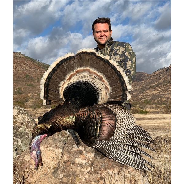 3 day/4 night - Mexico Goulds Turkey (Shotgun or Bow) for 2 Hunters