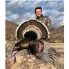 Image 1 : 3 day/4 night - Mexico Goulds Turkey (Shotgun or Bow) for 2 Hunters