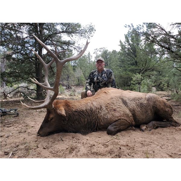 5 day - New Mexico Elk, Mule Deer, Bear Archery Combo Hunt for 2 Hunters