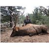 Image 1 : 5 day - New Mexico Elk, Mule Deer, Bear Archery Combo Hunt for 2 Hunters