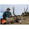 Image 2 : 5 day - New Mexico Elk, Mule Deer, Bear Archery Combo Hunt for 2 Hunters