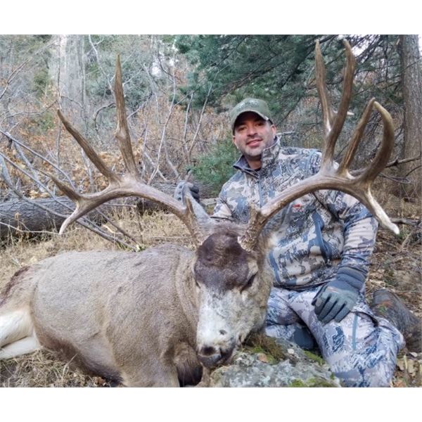 5 day - New Mexico Mule Deer Rifle Hunt for 2 Hunters